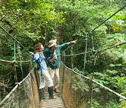 Tourists crossing the suspension bridge in the Loreto jungle